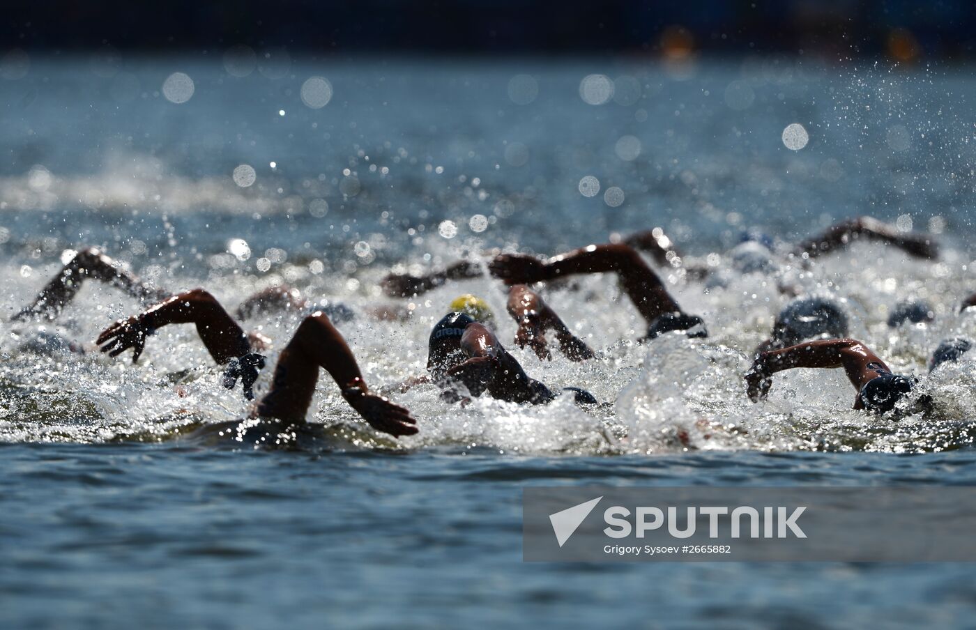 16th FINA World Aquatics Championships. Open water swimming. Men. 10km