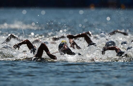 16th FINA World Aquatics Championships. Open water swimming. Men. 10km