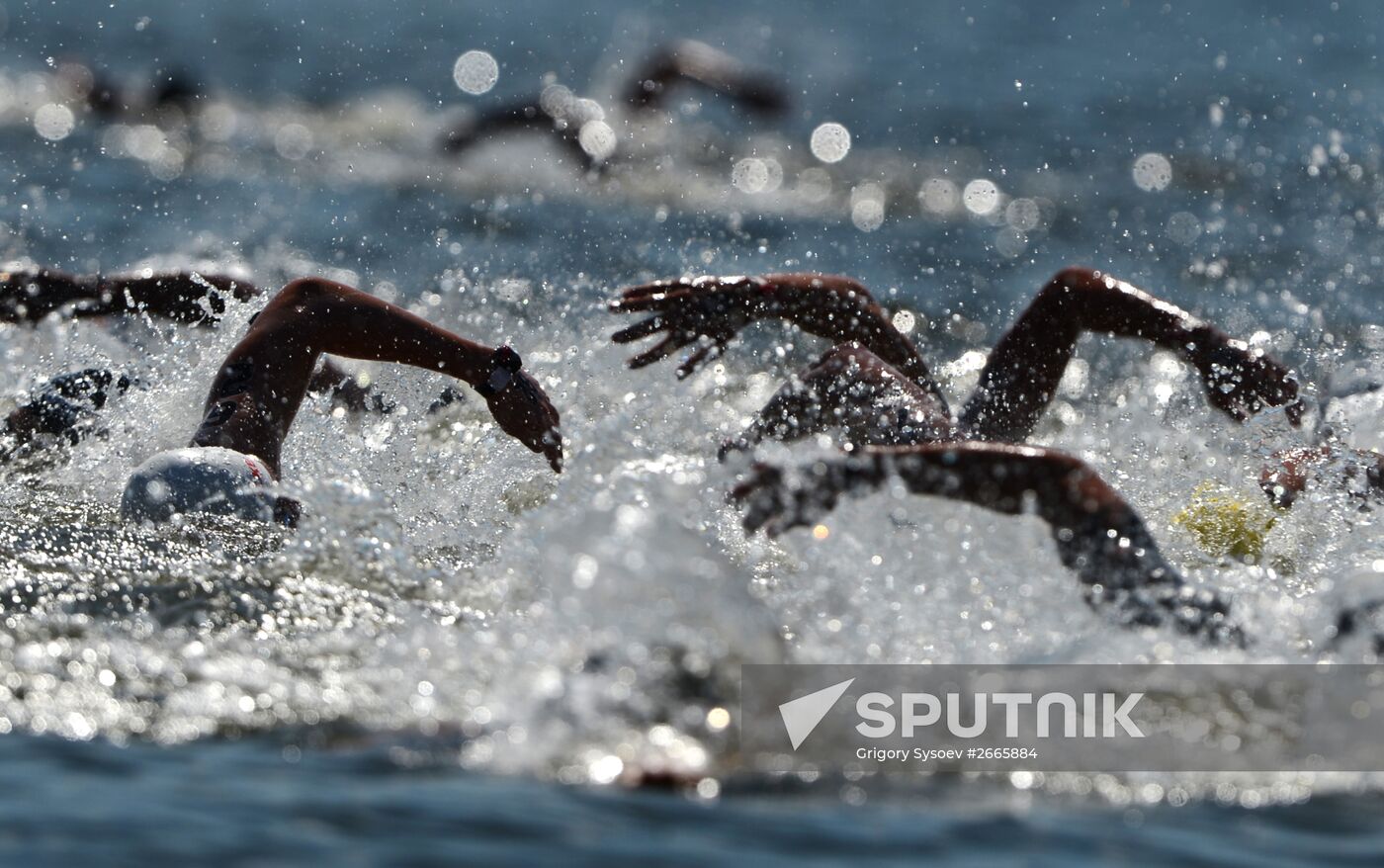 16th FINA World Aquatics Championships. Open water swimming. Men. 10km