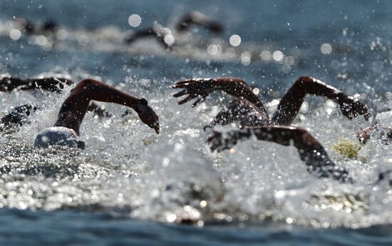 16th FINA World Aquatics Championships. Open water swimming. Men. 10km