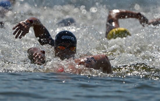 16th FINA World Aquatics Championships. Open water swimming. Men. 10km