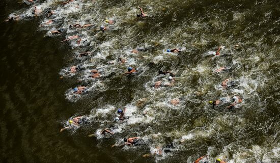 16th FINA World Aquatics Championships. Open water swimming. Men. 10km