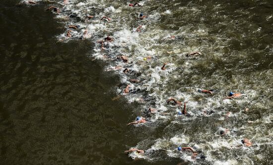 16th FINA World Aquatics Championships. Open water swimming. Men. 10km