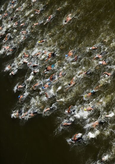 2015 FINA World Championships. Open water swimming. Men's 10 km