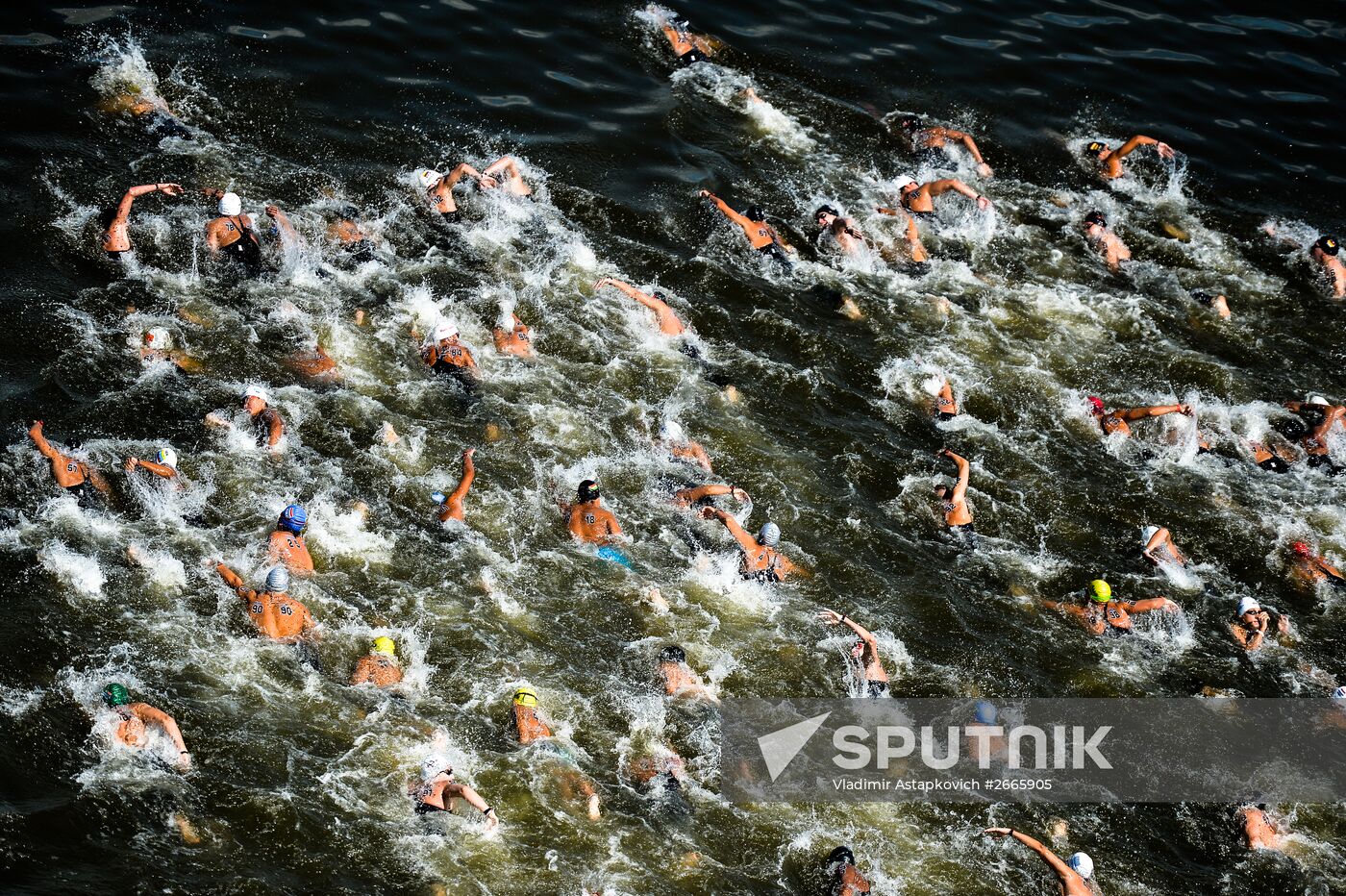 16th FINA World Aquatics Championships. Open water swimming. Men. 10km
