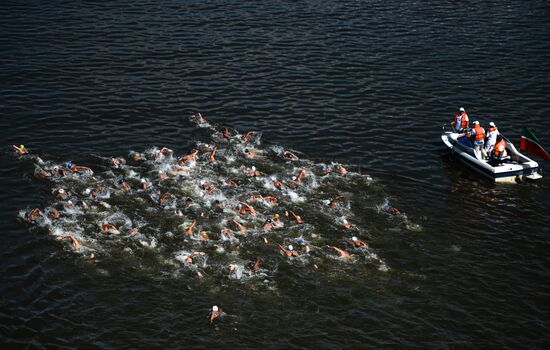 16th FINA World Aquatics Championships. Open water swimming. Men. 10km