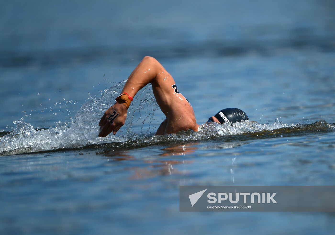 16th FINA World Aquatics Championships. Open water swimming. Men. 10km