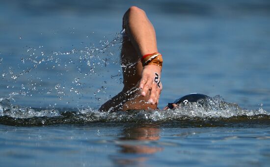 16th FINA World Aquatics Championships. Open water swimming. Men. 10km