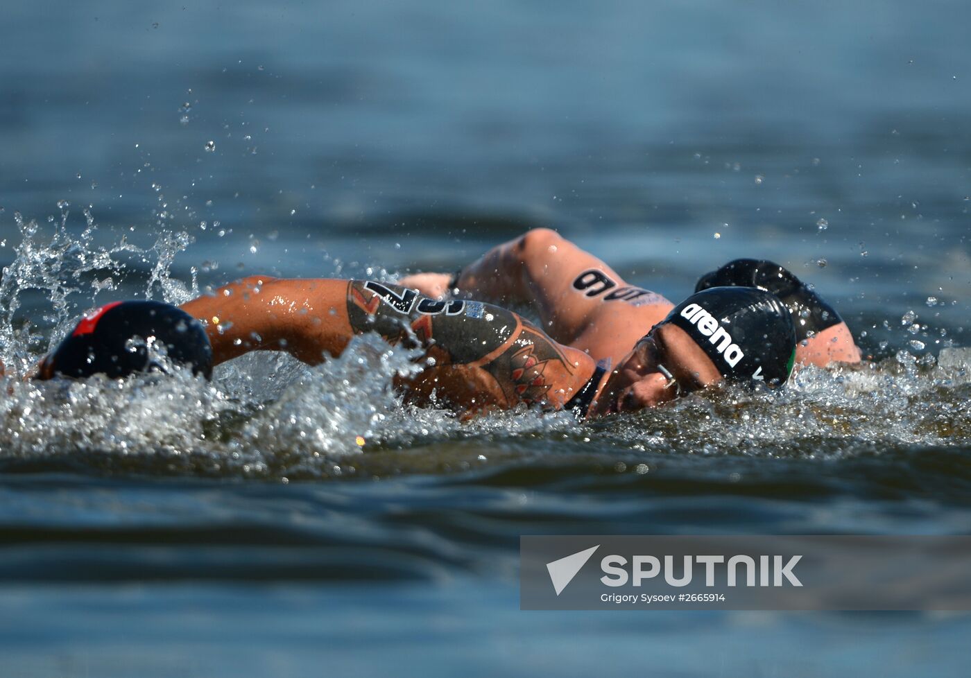 16th FINA World Aquatics Championships. Open water swimming. Men. 10km