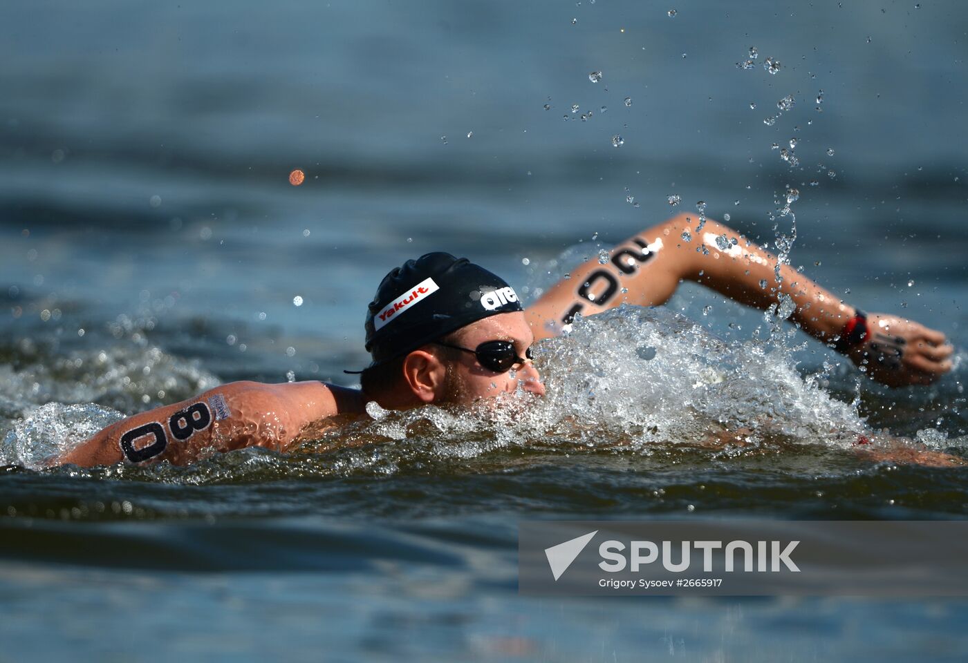 16th FINA World Aquatics Championships. Open water swimming. Men. 10km