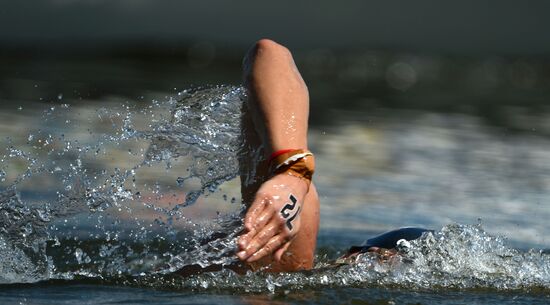 16th FINA World Aquatics Championships. Open water swimming. Men. 10km