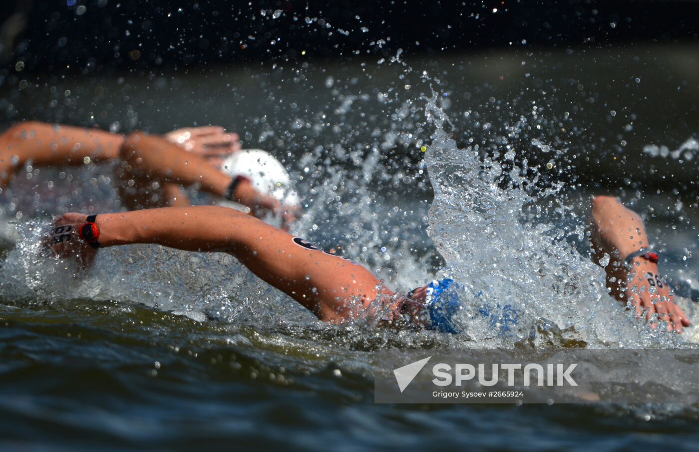 16th FINA World Aquatics Championships. Open water swimming. Men. 10km