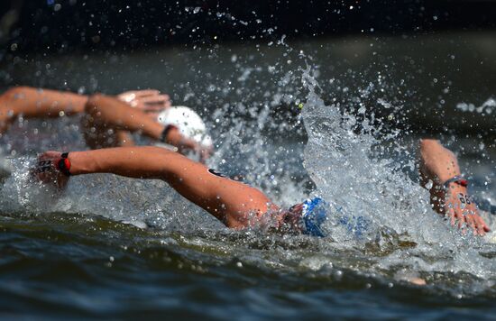 16th FINA World Aquatics Championships. Open water swimming. Men. 10km