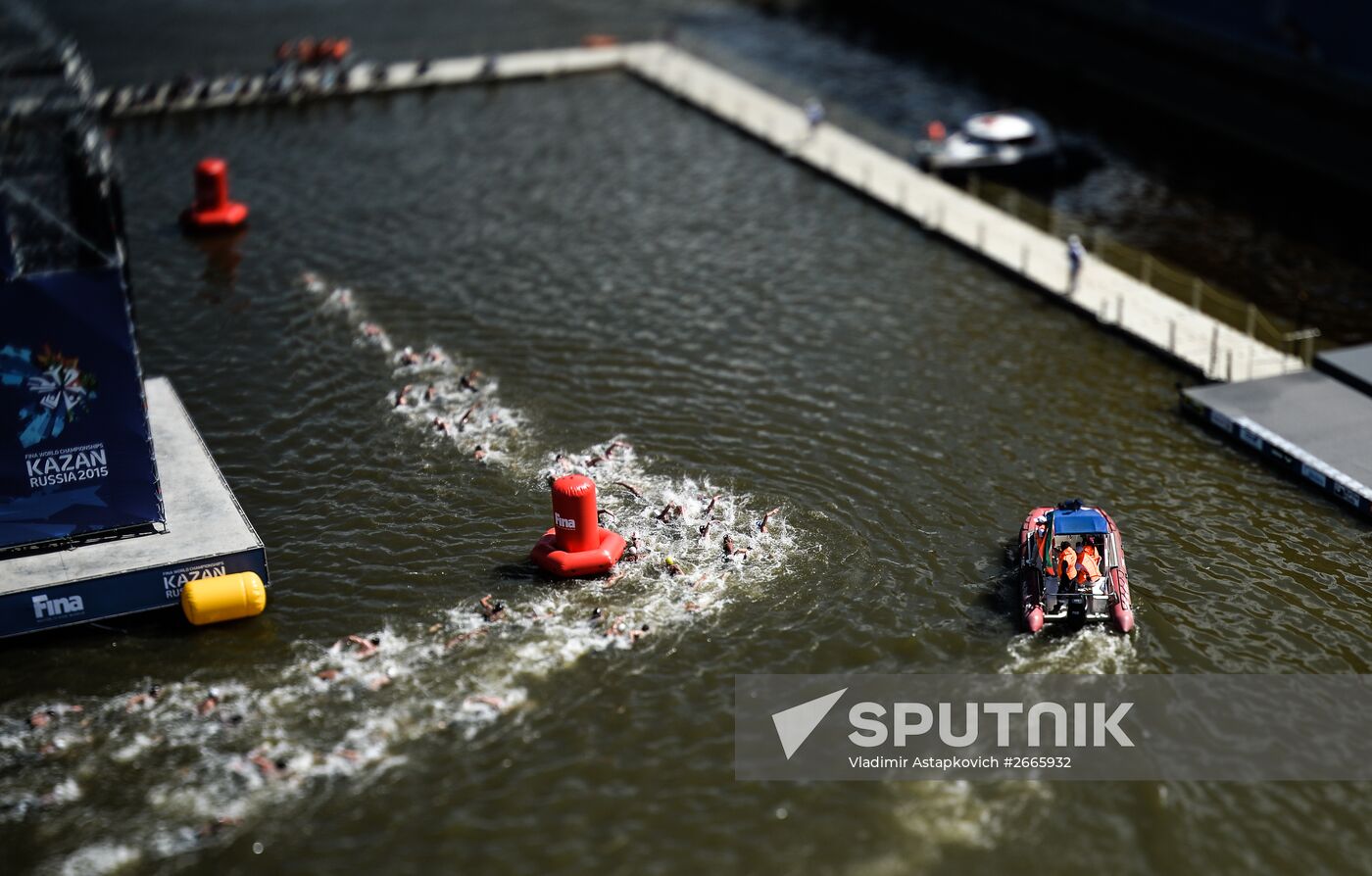 16th FINA World Aquatics Championships. Open water swimming. Men. 10km