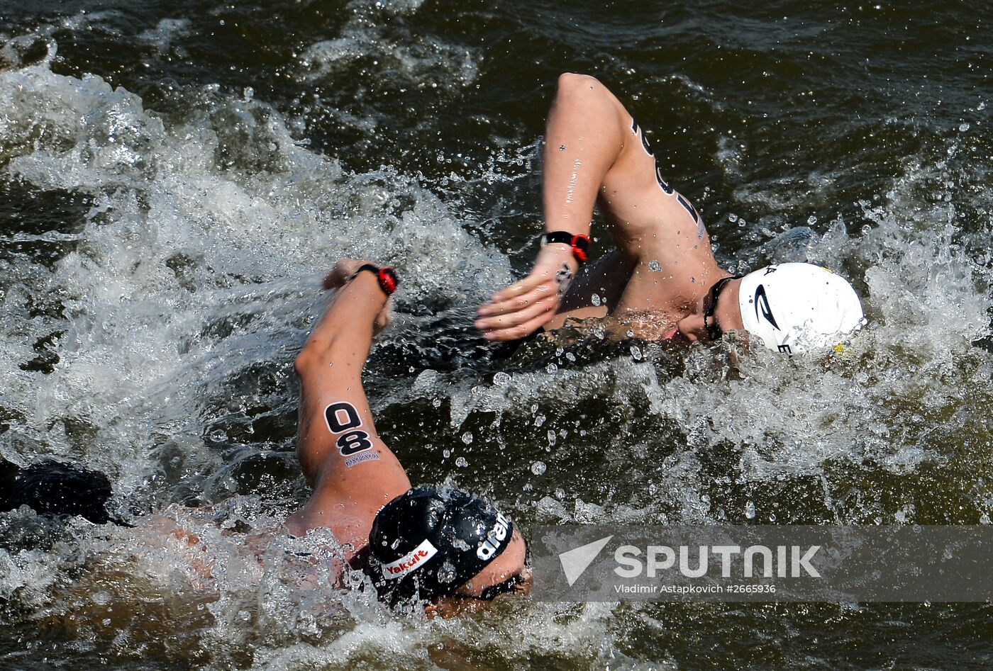 16th FINA World Aquatics Championships. Open water swimming. Men. 10km