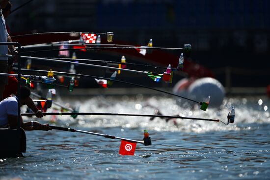 16th FINA World Aquatics Championships. Open water swimming. Men. 10km