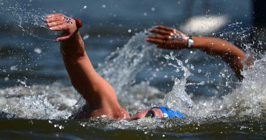 16th FINA World Aquatics Championships. Open water swimming. Men. 10km