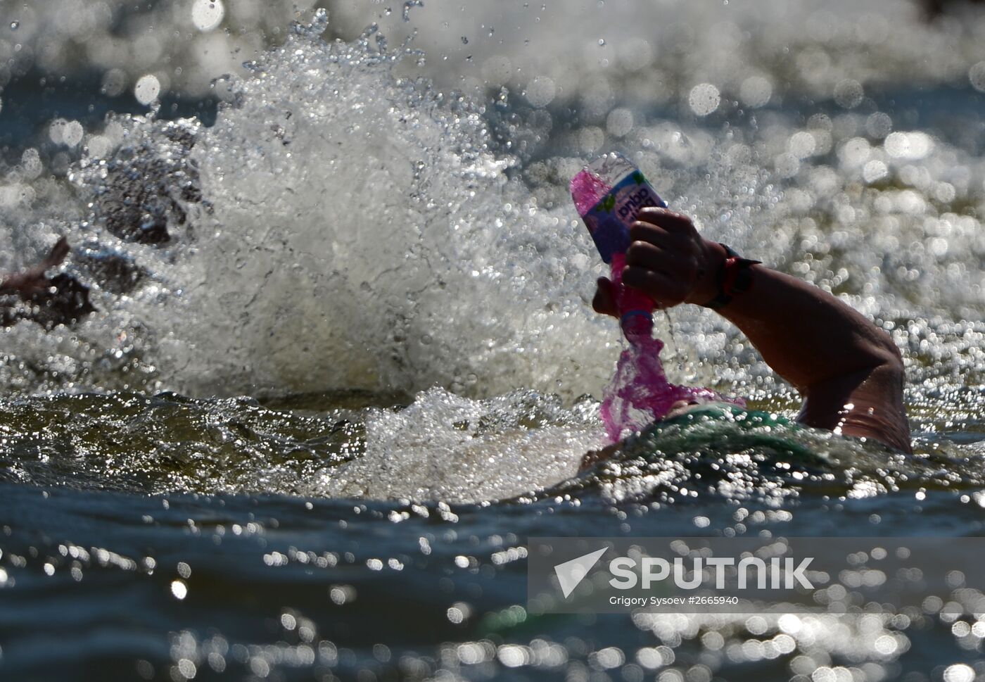 16th FINA World Aquatics Championships. Open water swimming. Men. 10km