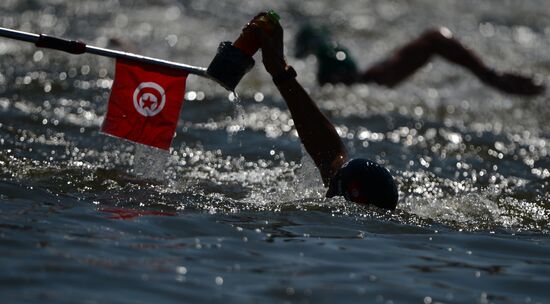 16th FINA World Aquatics Championships. Open water swimming. Men. 10km