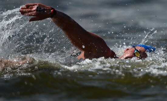 16th FINA World Aquatics Championships. Open water swimming. Men. 10km