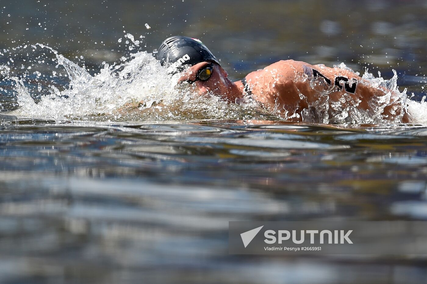 16th FINA World Aquatics Championships. Open water swimming. Men. 10km