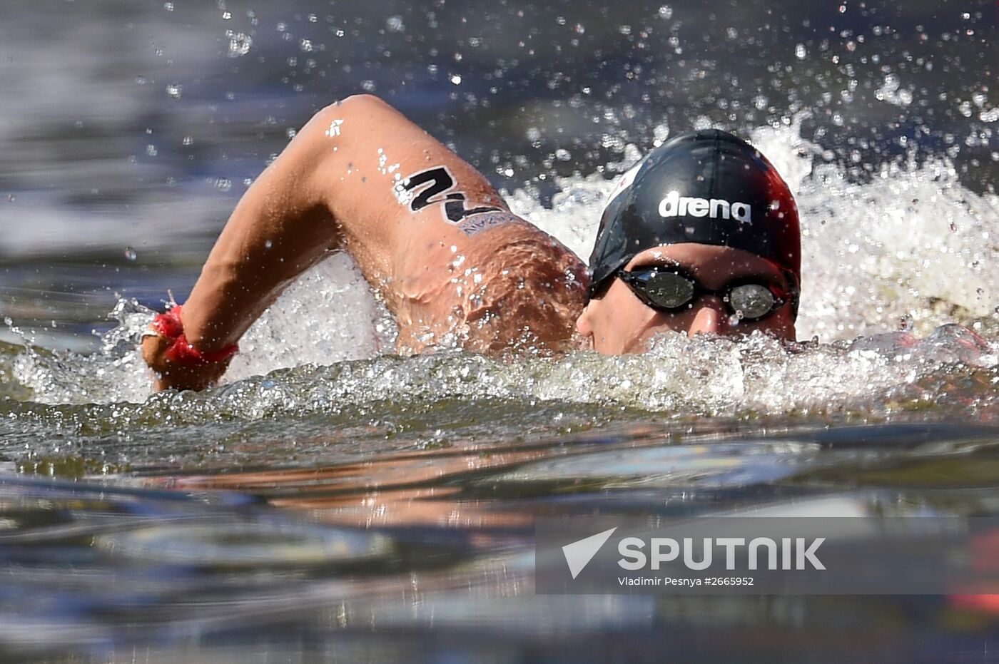 16th FINA World Aquatics Championships. Open water swimming. Men. 10km
