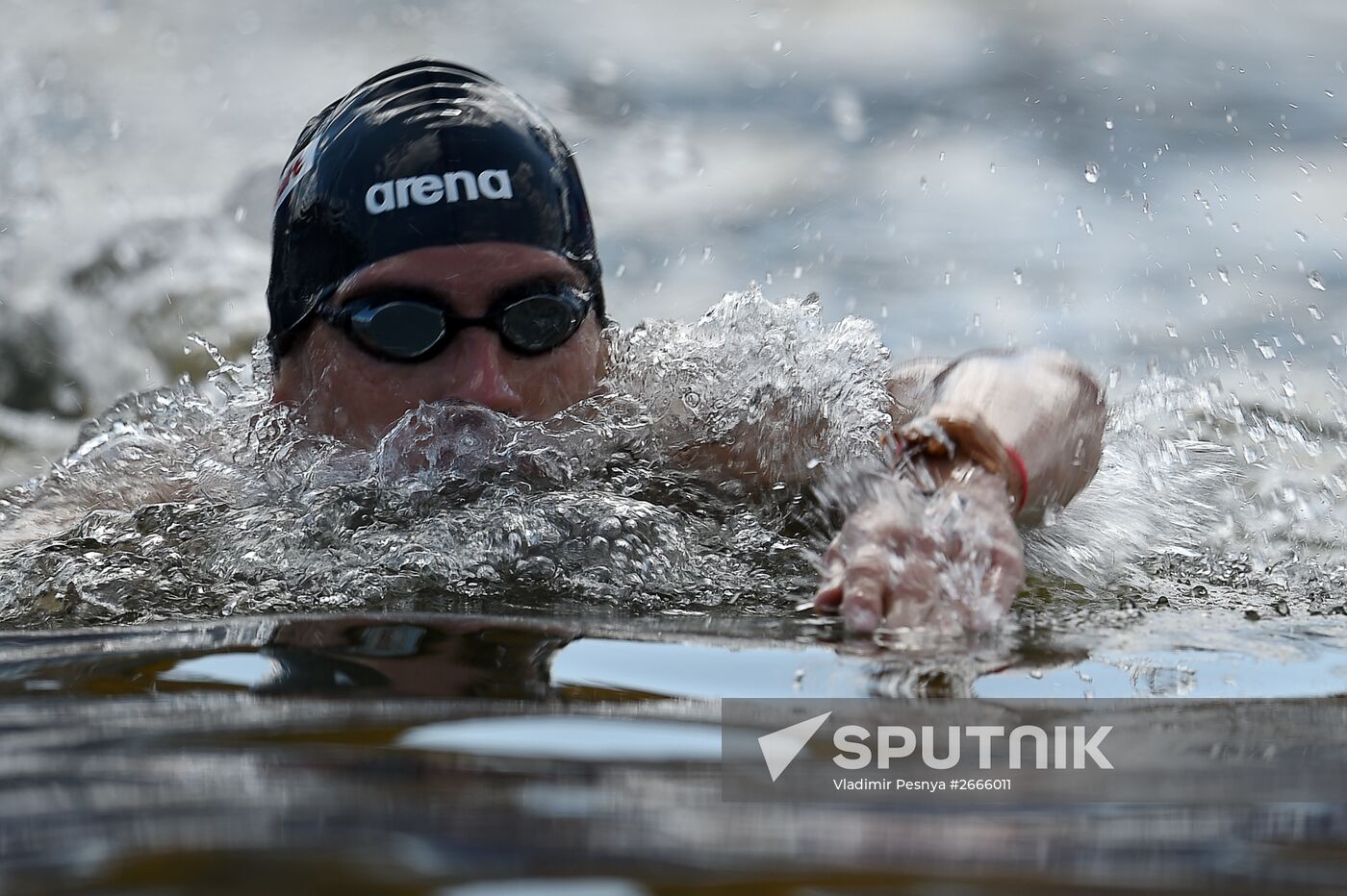 16th FINA World Aquatics Championships. Open water swimming. Men. 10km