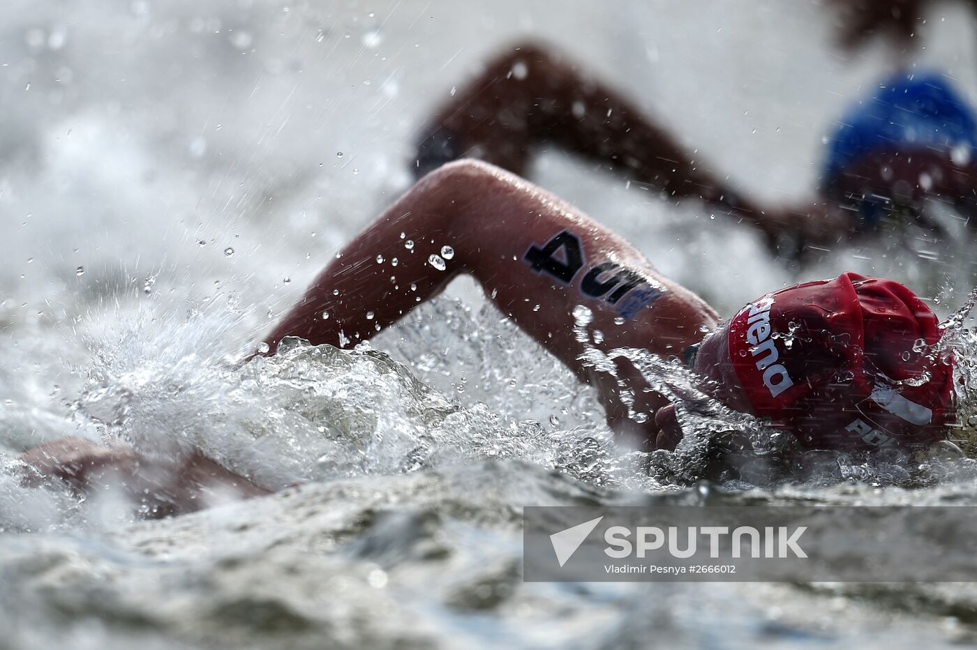 16th FINA World Aquatics Championships. Open water swimming. Men. 10km