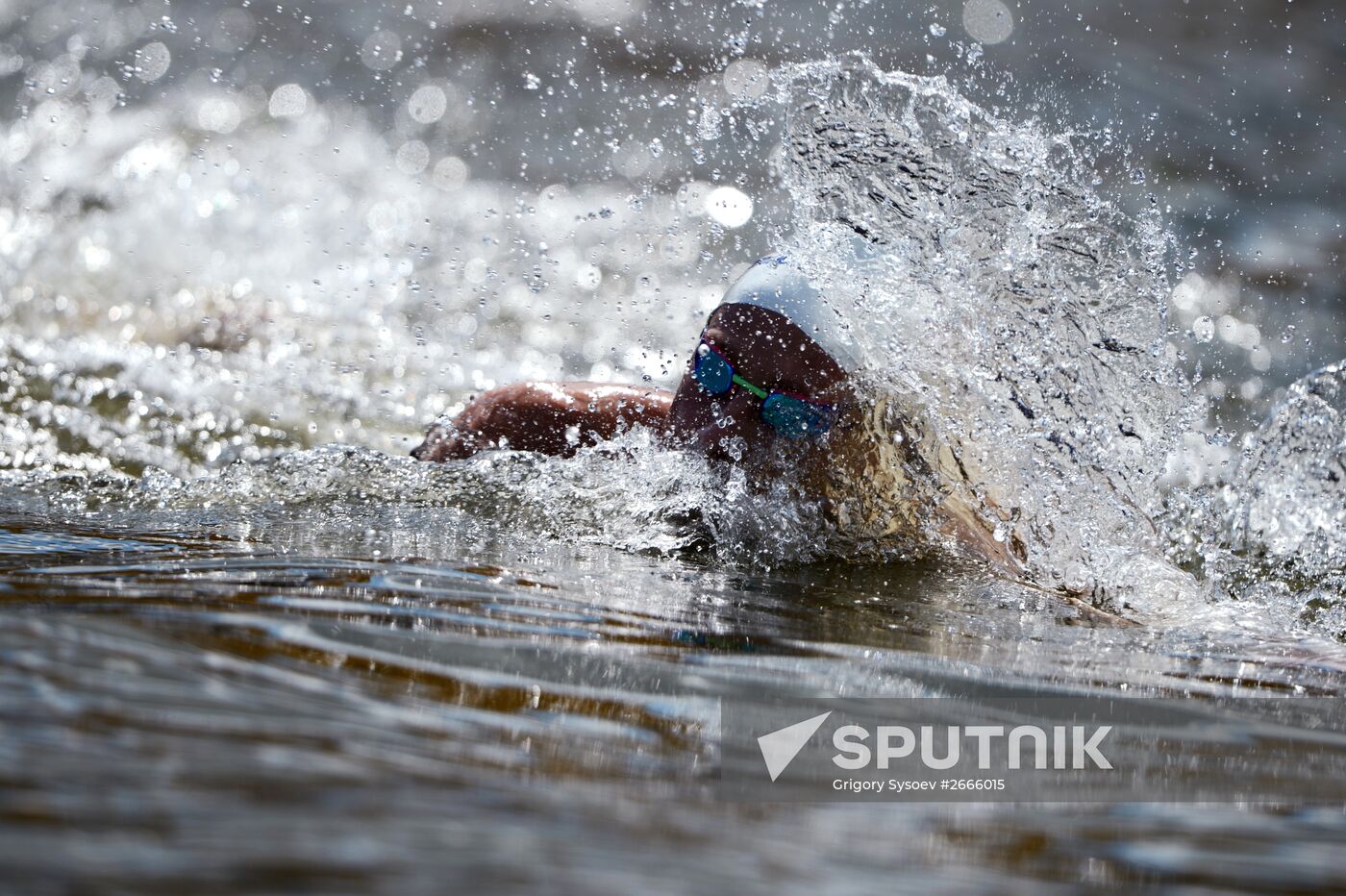 16th FINA World Aquatics Championships. Open water swimming. Men. 10km