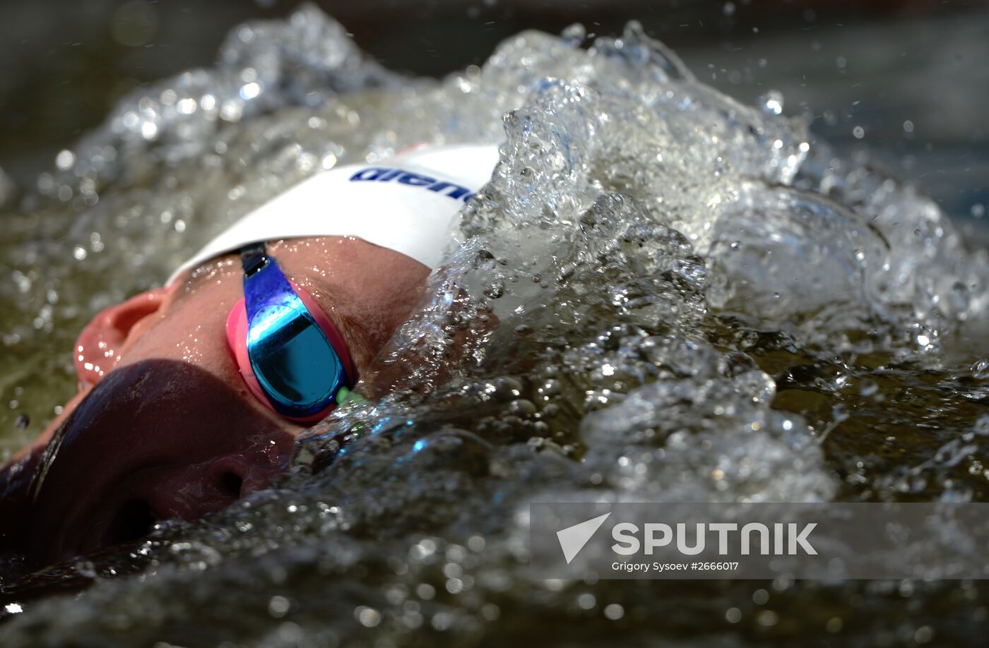 16th FINA World Aquatics Championships. Open water swimming. Men. 10km