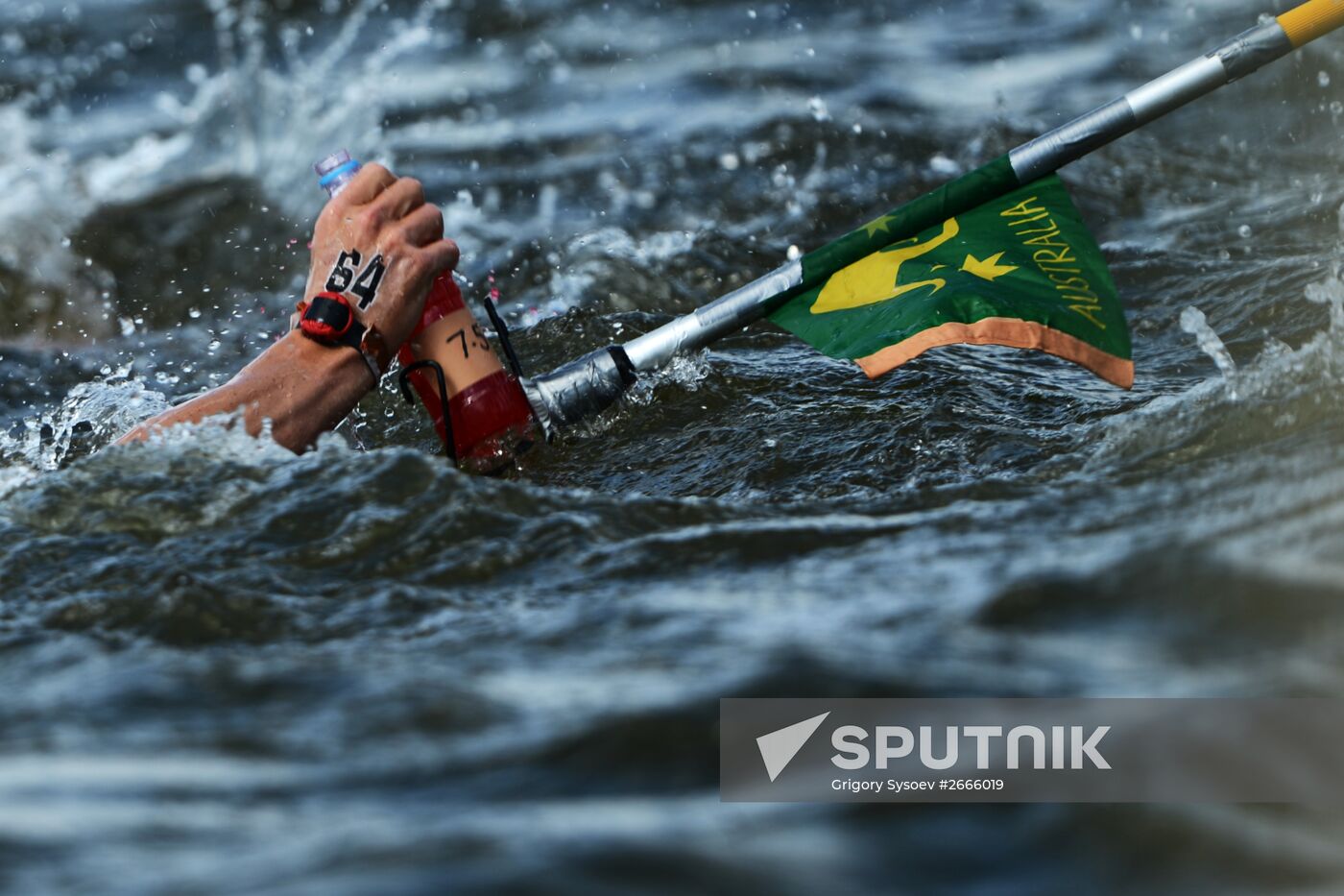 16th FINA World Aquatics Championships. Open water swimming. Men. 10km