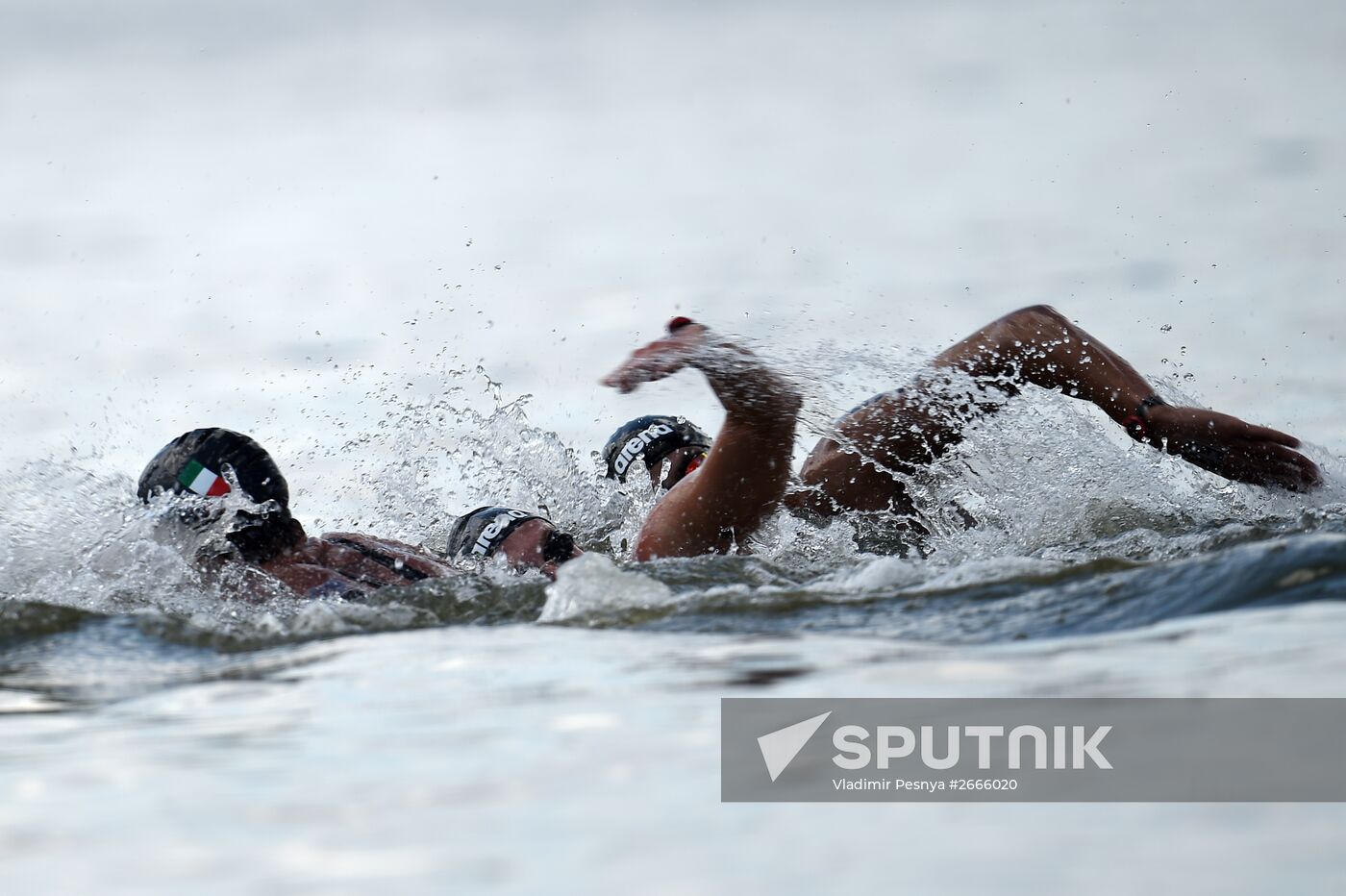 16th FINA World Aquatics Championships. Open water swimming. Men. 10km