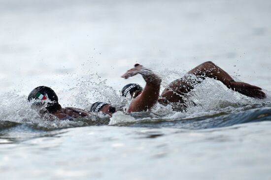 16th FINA World Aquatics Championships. Open water swimming. Men. 10km