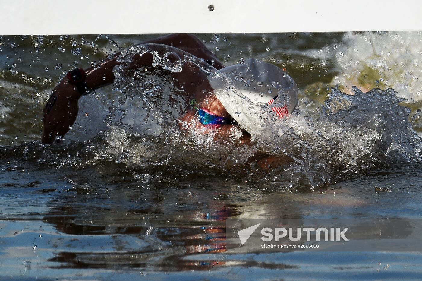 16th FINA World Aquatics Championships. Open water swimming. Men. 10km