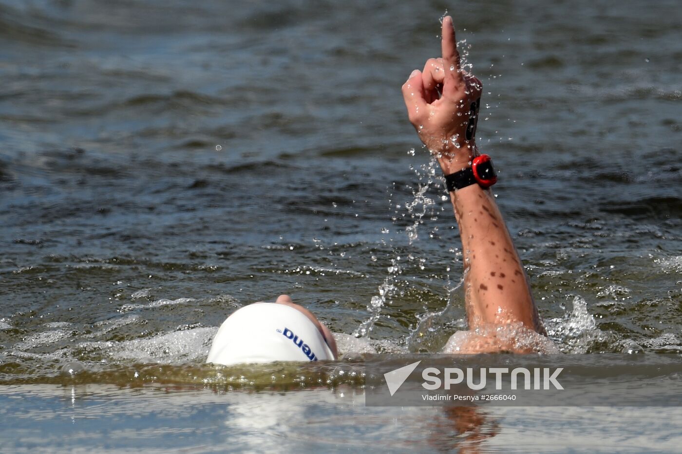 16th FINA World Aquatics Championships. Open water swimming. Men. 10km