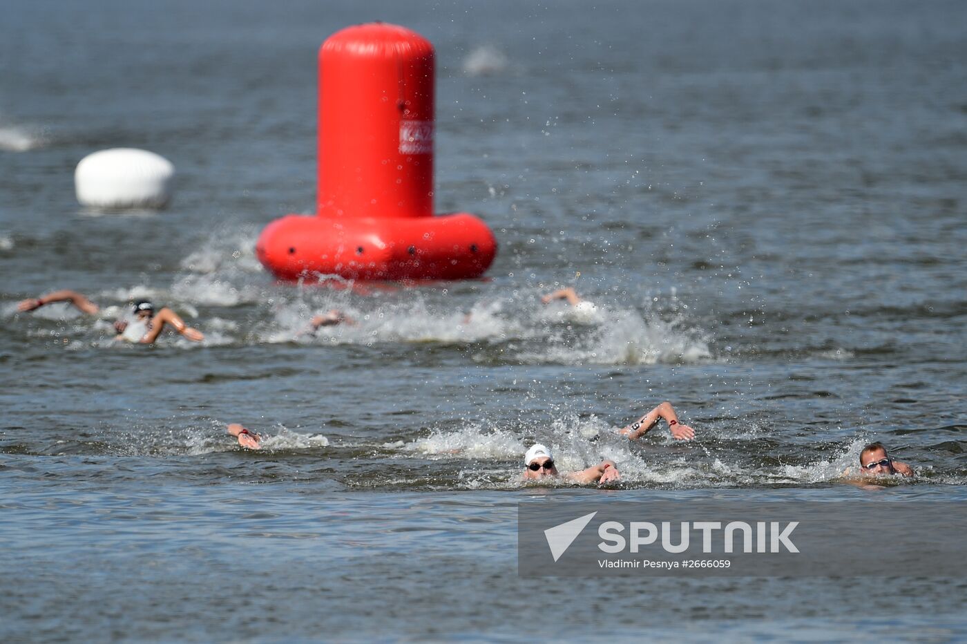 16th FINA World Aquatics Championships. Open water swimming. Men. 10km