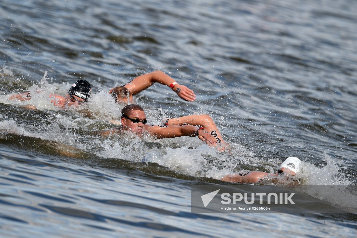 16th FINA World Aquatics Championships. Open water swimming. Men. 10km