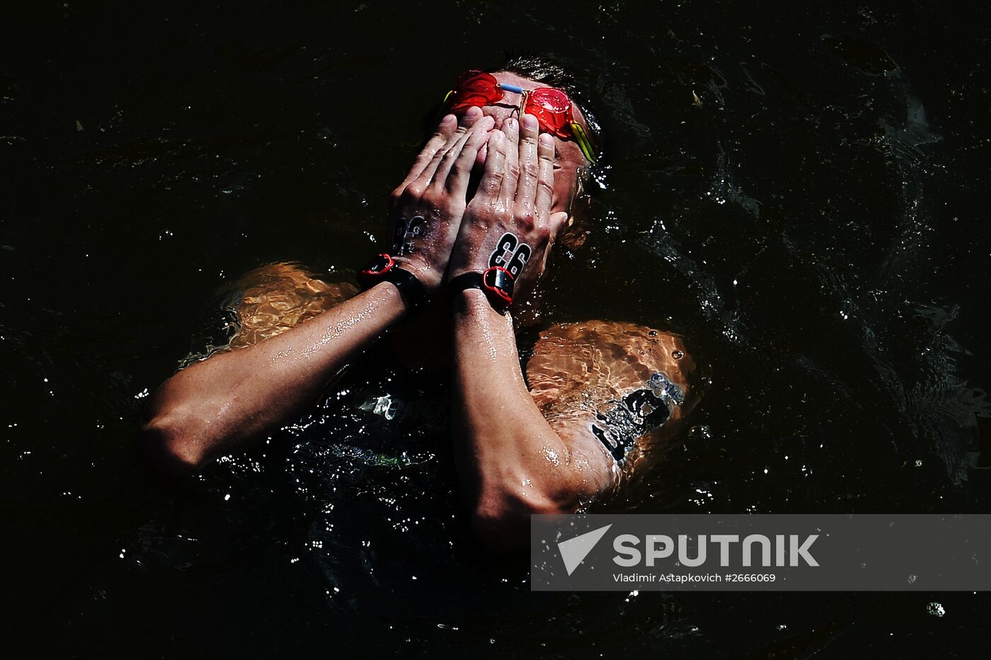 16th FINA World Aquatics Championships. Open water swimming. Men. 10km