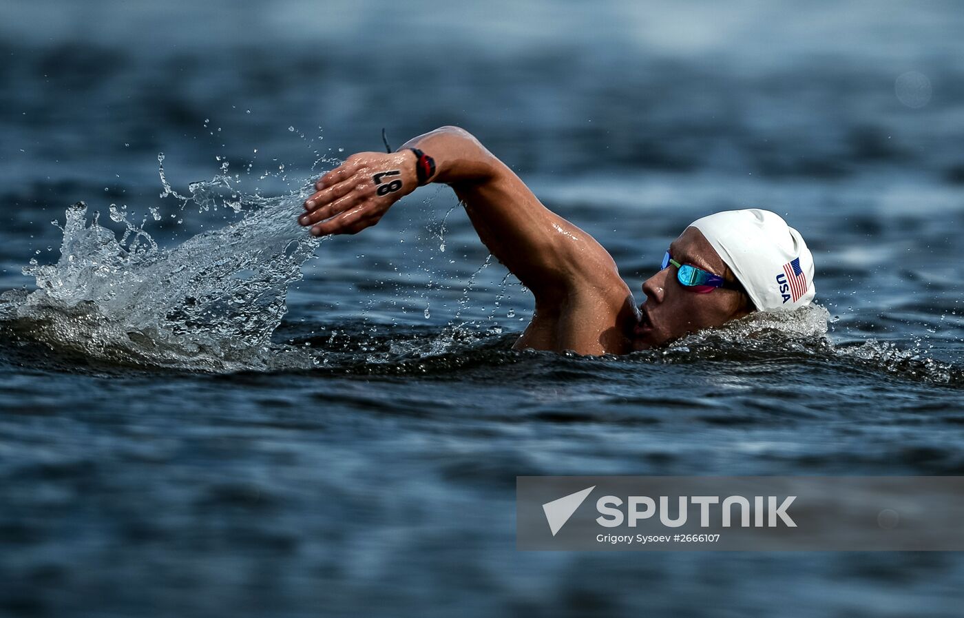 FINA World Championships 2015. Men's 10km open water swimming