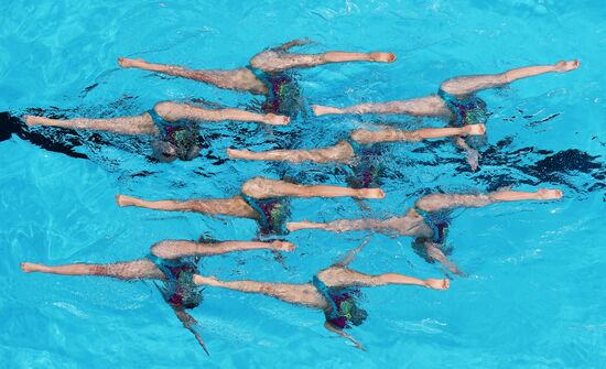 FINA World Championships 2015. Synchornized swimming.Team Technical Final