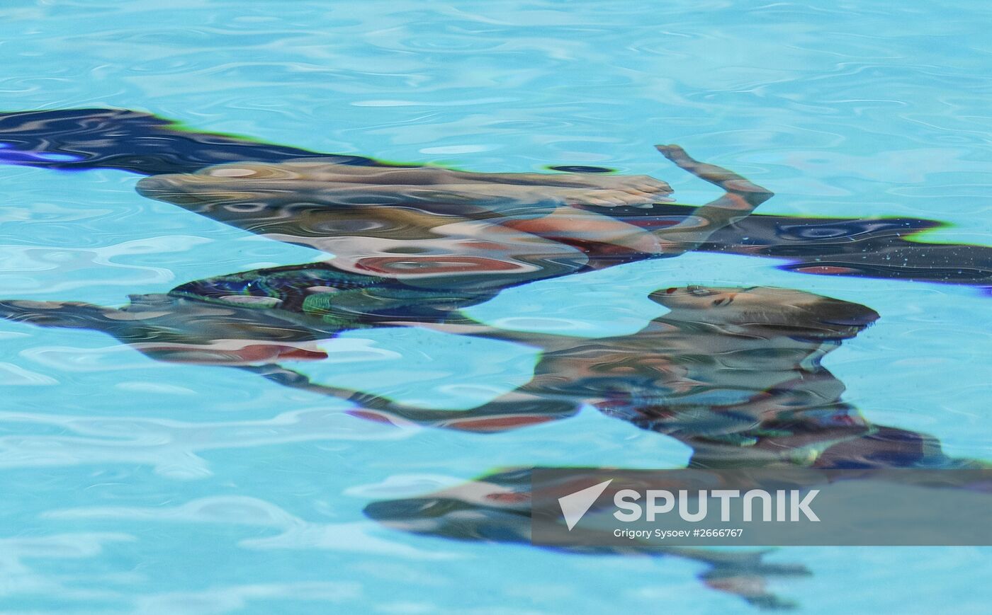 16th 2015 World Aquatics Championships