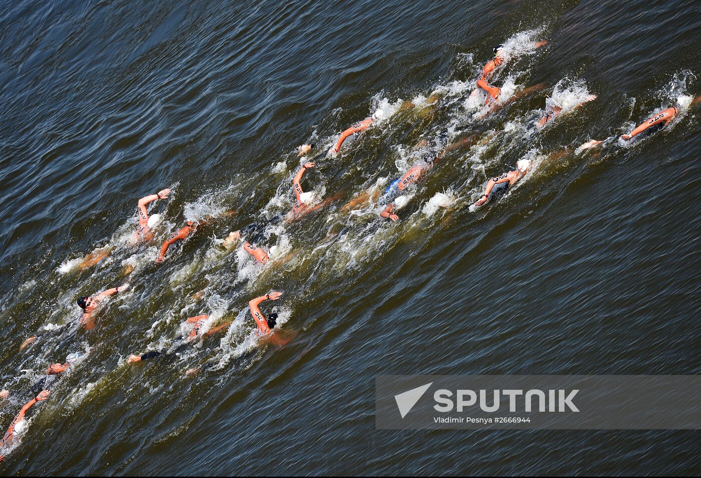 16th FINA World Aquatics Championships. Open water swimming. Women. 10km