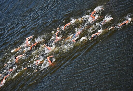 16th FINA World Aquatics Championships. Open water swimming. Women. 10km