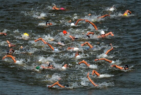 16th 2015 World Aquatics Championships. Open-water swimming. Women Ten kilometers