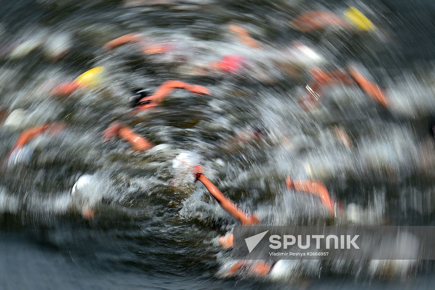 16th 2015 World Aquatics Championships. Open-water swimming. Women Ten kilometers