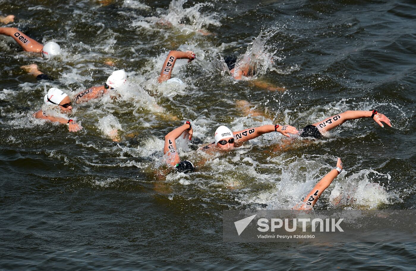 16th FINA World Aquatics Championships. Open water swimming. Women. 10km