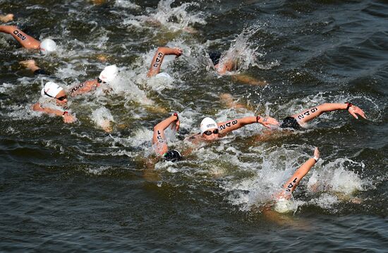 16th FINA World Aquatics Championships. Open water swimming. Women. 10km