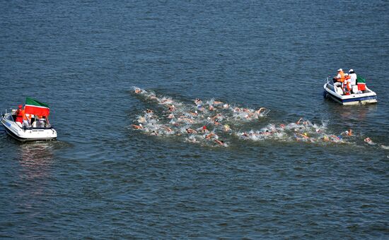 16th FINA World Aquatics Championships. Open water swimming. Women. 10km