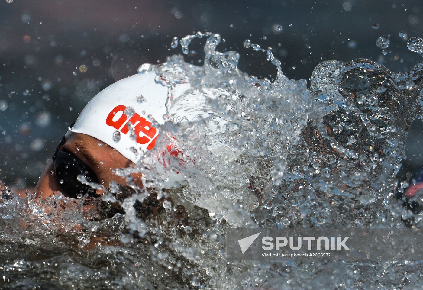 16th 2015 World Aquatics Championships. Open-water swimming. Women Ten kilometers