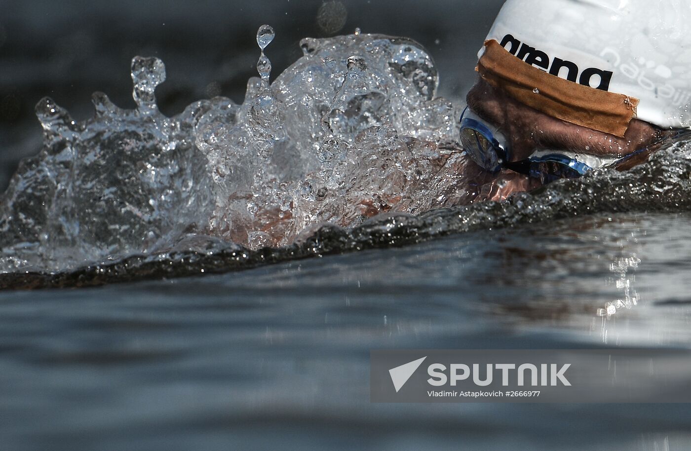 16th 2015 World Aquatics Championships. Open-water swimming. Women Ten kilometers